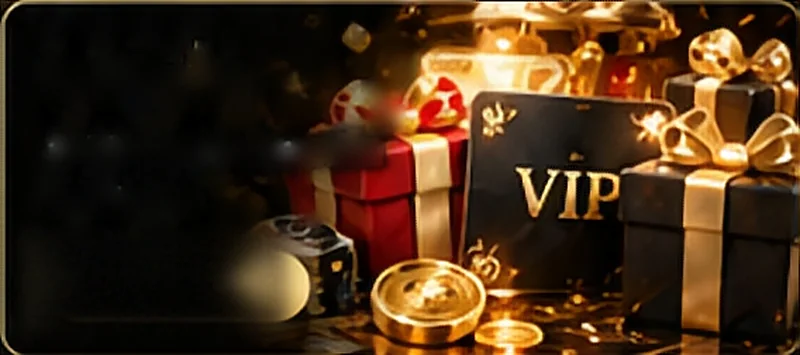 กล่องของขวัญ VIP และเหรียญทอง